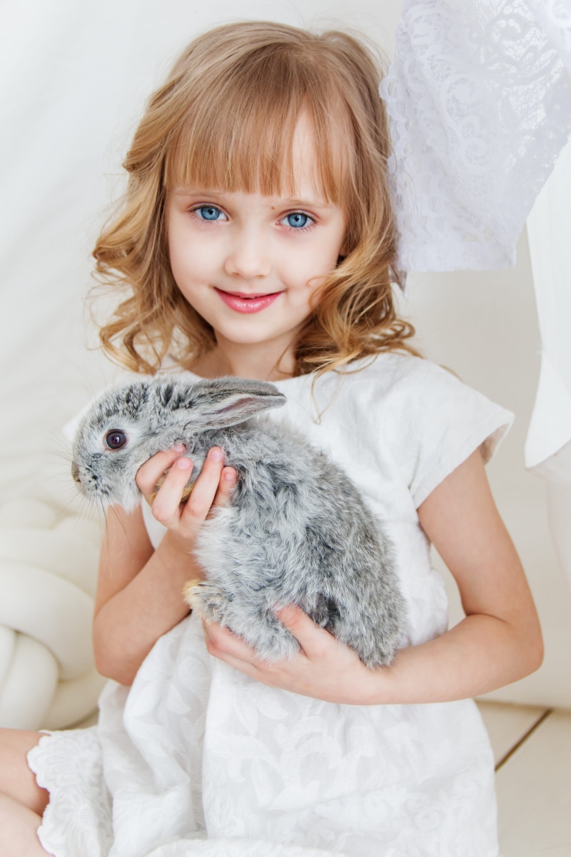 attractive, pets, smile, pretty, nice, grey, sit, pet, one person, girl, women, pet owner, joy, front view, one animal, hug, bunny, cute, domestic animals