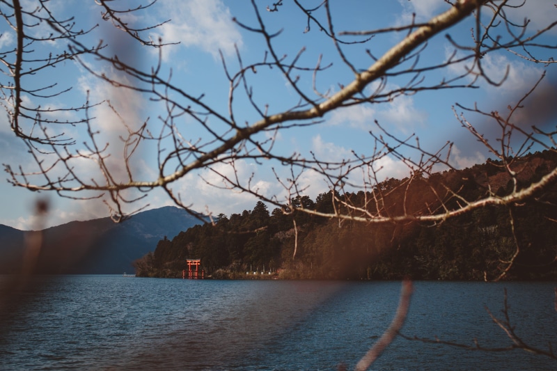 tranquility, shore, 5K, autumn, nature, lake, water, japan, cloud - sky, scenics - nature, temple, architecture, tree, bare tree, hakone, torii, branch