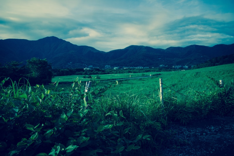 no people, mountain, plant, tranquil scene, field, land, mountain range, vineyard, 5K, green color, cloud - sky, hakone, environment, landscape, winemaking