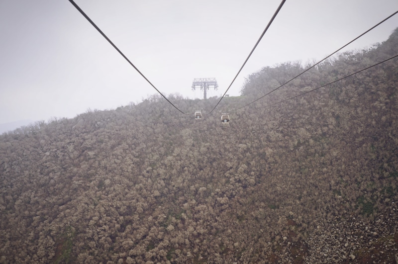 tree, japan, owakudani station, electricity, fog, technology, power line, cable car, power supply, sky, outdoors, plant, 4K, no people, nature, mountain