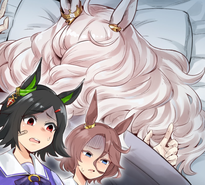 anime girls, sleeping, black hair, Narita Taishin (Uma Musume), crown, Winning Ticket (Uma Musume), silver hair, Band-Aid, open mouth, horse girls, animal ears