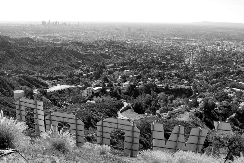 nature, cityscape, united states, wood, building exterior, city, high angle view, no people, tree, environment, landscape, townscape, plant, black and white