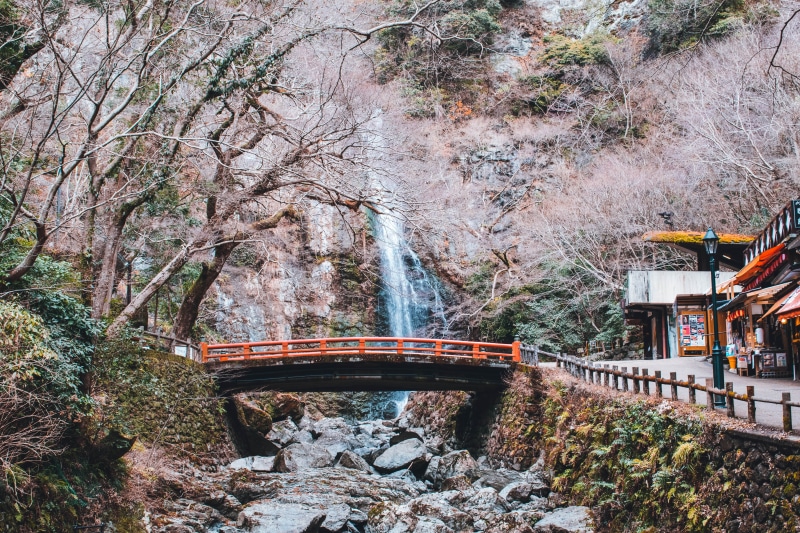 abies, no people, tranquility, creek, built structure, Red Brige, footbridge, tree, Japon, bridge - man made structure, plant, connection, flowing water