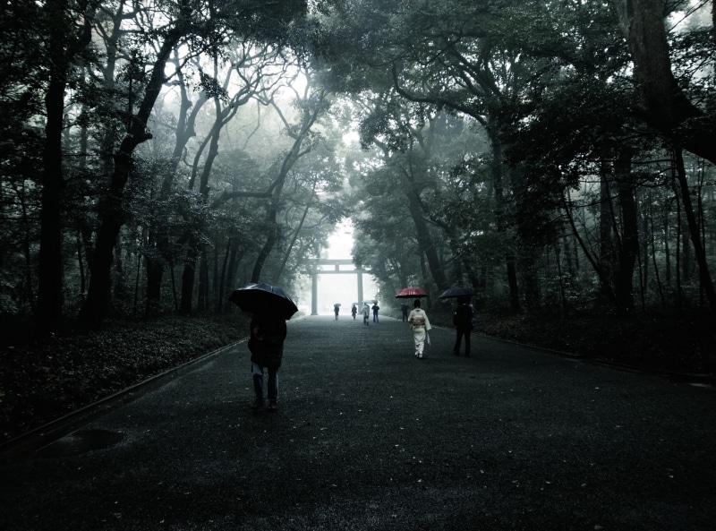 group of people, growth, women, nature, Tokyo, fog, men, tori, full length, lifestyles, footpath, 2K, the way forward, Dark, tree, ricoh, Vintage, direction