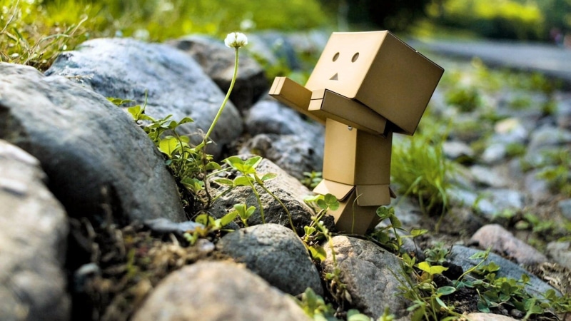 focus on foreground, rock, rocky, stone, growth, no people, box, selective focus, day, ground, Danbo, rock - object, 1080P, close-up, brown, stone - object