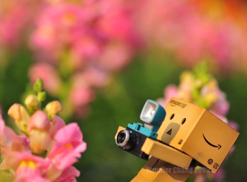 fragility, flowers, spring, no people, 2K, camera - photographic equipment, robot, falling, danbo, holding, photographic equipment, close-up, flower, focus on foreground