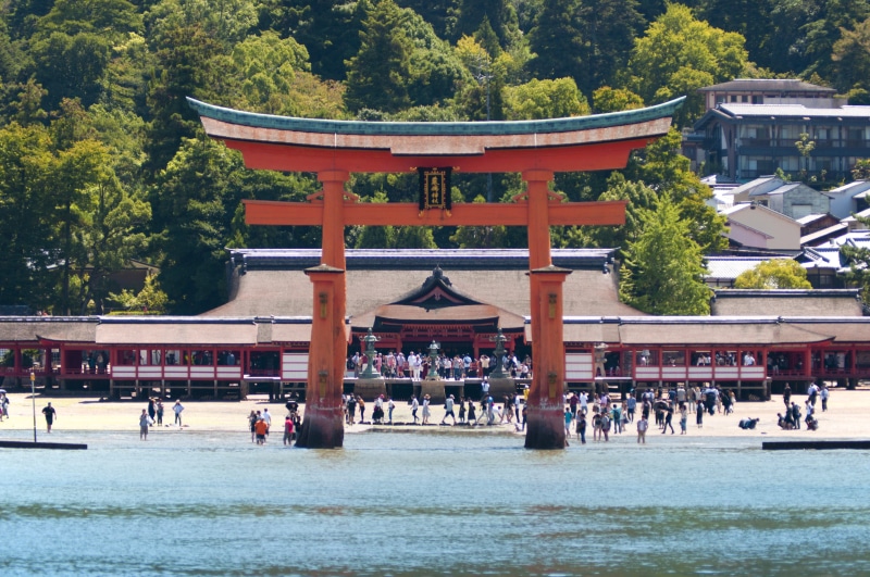 day, plant, architectural column, temple, torii, travel, miyajima, tourism, tree, 4K, travel destinations, place of worship, built structure, building
