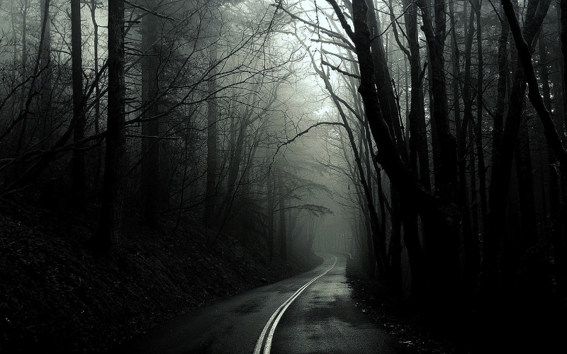 nature, 1080P, monochrome, forests, roads, black, forest, Trees, art, black and white, x, hd, white, dark