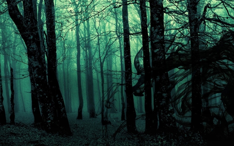 forest, photo manipulation, landscape, dark, manipulation, 1080P, photo, trees, gloomy, nature