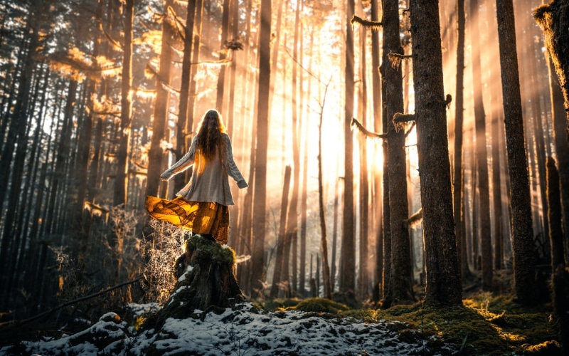 Forest, shirt, dress, 1080P, Girl, women, s, sleeve, long, Sun, white, Snow, Trees