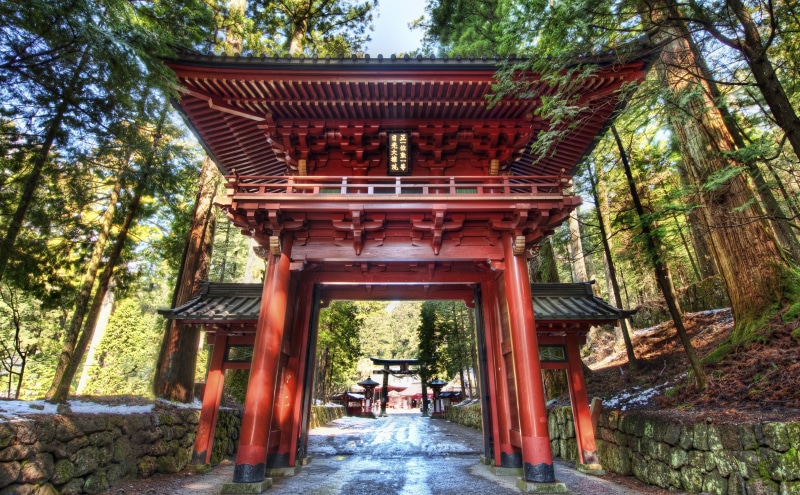plant, outdoors, the way forward, no people, Alley, shrine, travel destinations, belief, spirituality, architecture, place of worship, wooden, 5K, Nikko
