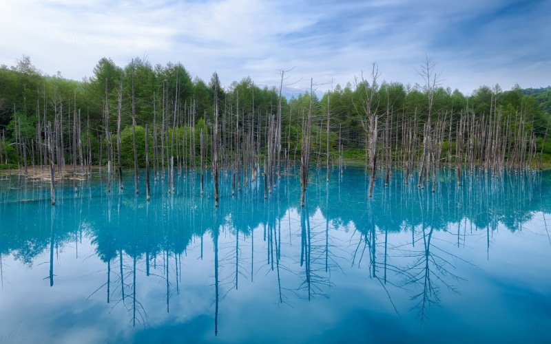 Japan, Blue, Pond, 1080P, Water, Hokkaido, Reflection, Sky, Trees