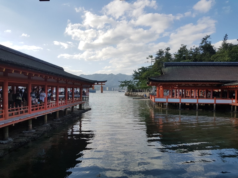 tree, japan, building, canal, cloud - sky, waterfront, water, day, built structure, sky, architecture, reflection, house, river, miyajima, city, 4K, building exterior