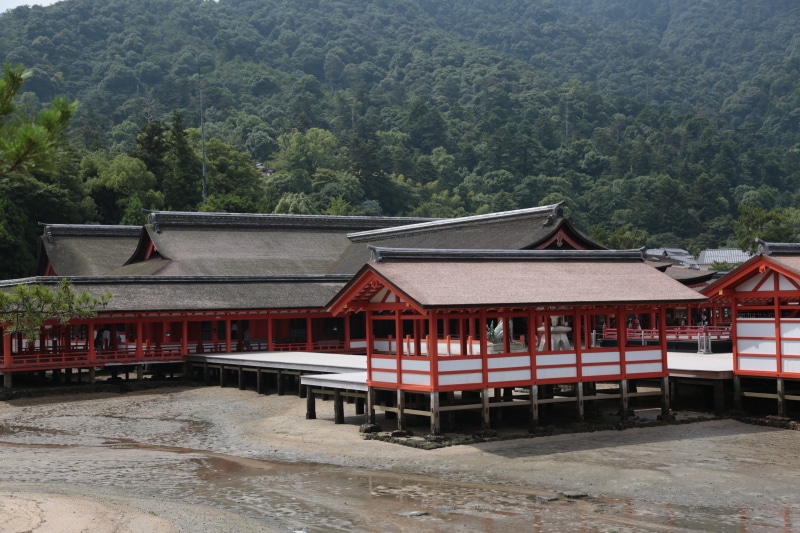 red, Miyajima, no people, Shrine, residential district, mountain, nature, 5K, Hiroshima, beauty in nature, outdoors, architecture, house, building, tree