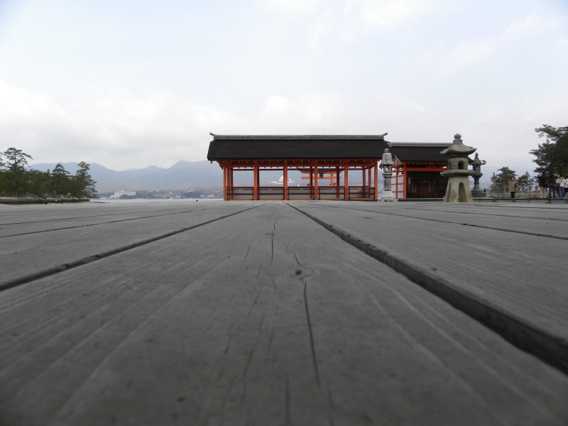 surface level, building exterior, built Structure, Temple, perspective, outdoors, asia, building, belief, nature, cloud - sky, Wood, sky, roof, Miyajima