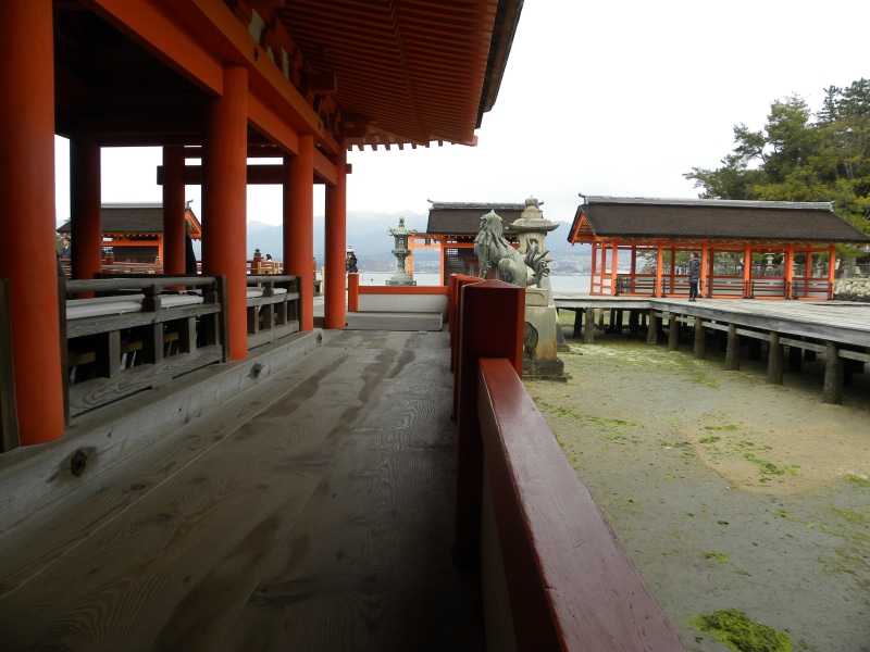 building, Board, outdoors, place of worship, building exterior, no people, belief, roof, city, miyajima, orange, day, plant, Temple, courtyard, Wood, sky