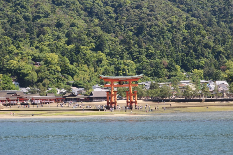 wood door, religion, tree, forest, water, building, travel destinations, landscape, beauty in nature, 5K, built structure, nature, island, Door, miyajima