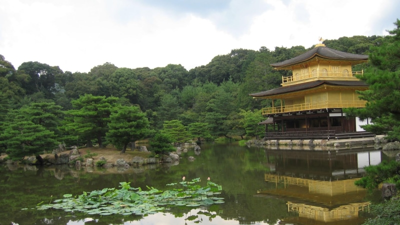 golden, temples, kyoto, japan, nature, 1080P, animals, kinkakuji, pavilion