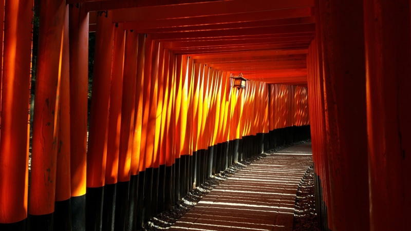 5K, repetition, kyoto, religion, solitude, indoors, fushimi inari, pattern, in a row, architecture, orange color, long, the way forward, place of worship