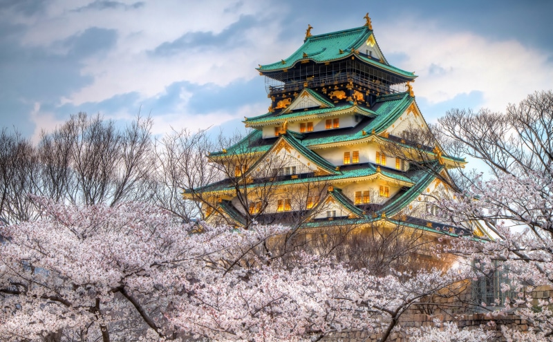 storey, Flowers, green, architecture, prefecture, sakura, Seasons, building exterior, Landscape, Castle, cloud - sky, Kansai, sky, cherry blossom, cherry tree