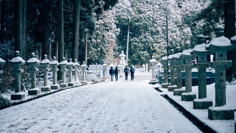 cemetery, cold temperature, koyasan, outdoors, tree, architecture, footpath, city, kansai, 4K, day, women, plant, koya, direction, men, snow, people, japan