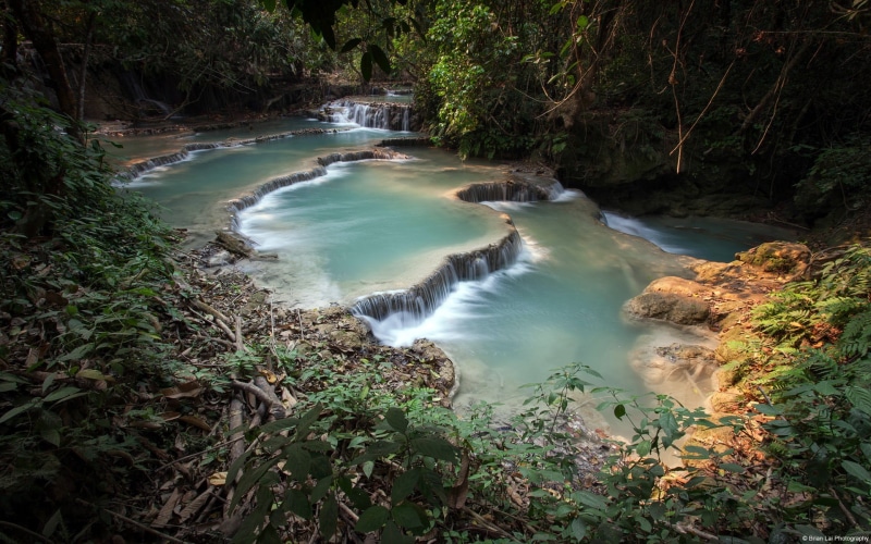 nature, rainforest, windows, growth, high angle view, tree, no people, tranquil scene, scenics - nature, river, water, motion, day, plant, flowing water