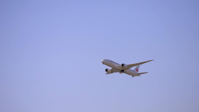 motion, sky, sunny, animals in the wild, transportation, 1080P, boeing, blue, mode of transportation, outdoors, animal, copy space, japan, kansai international airport