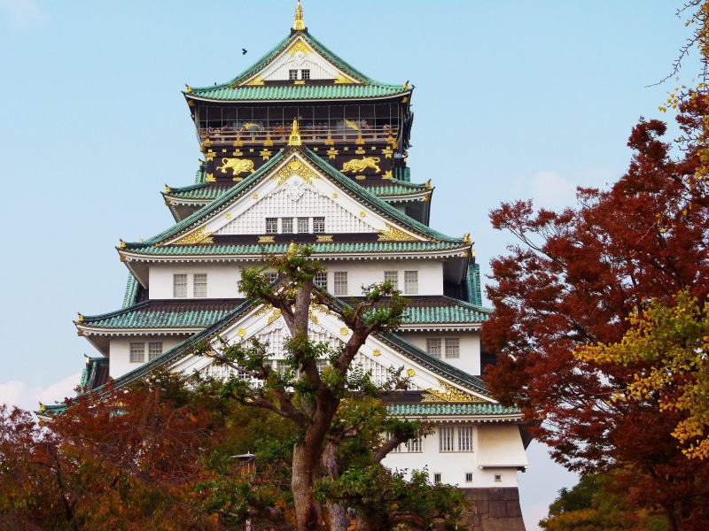 place of worship, pagoda, tourism, belief, city, osaka, attraction, palace, heritage, architecture, asia, religion, kansai, low angle view, tree, beautiful