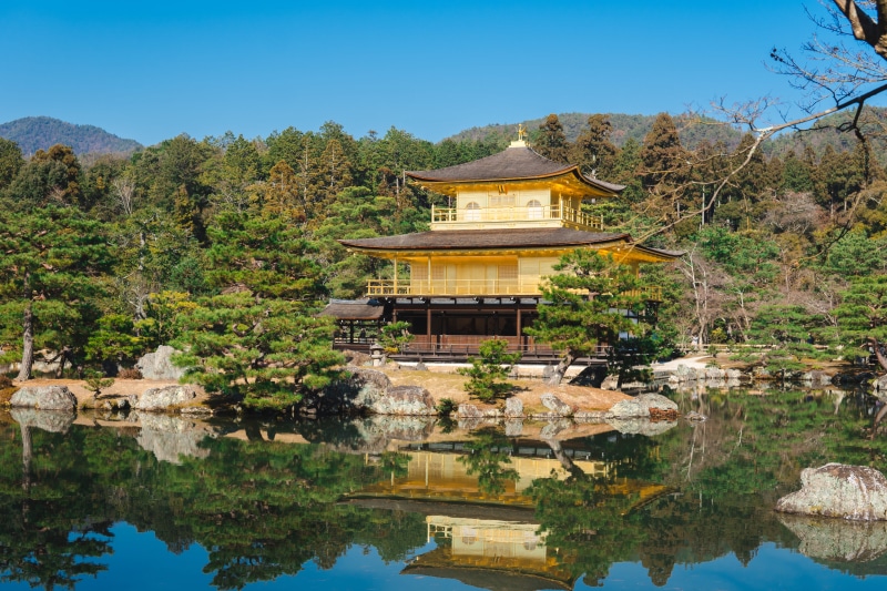 day, trees, belief, japanese, place of worship, no people, cold, travel destinations, religion, kansai, reflection, golden, tree, plant, blue sky, japan