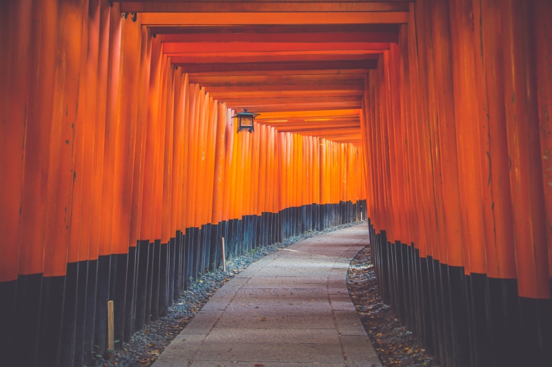 bright, 5K, japan, color, Famous, fushimi, culture, architecture, inari-taisha, art