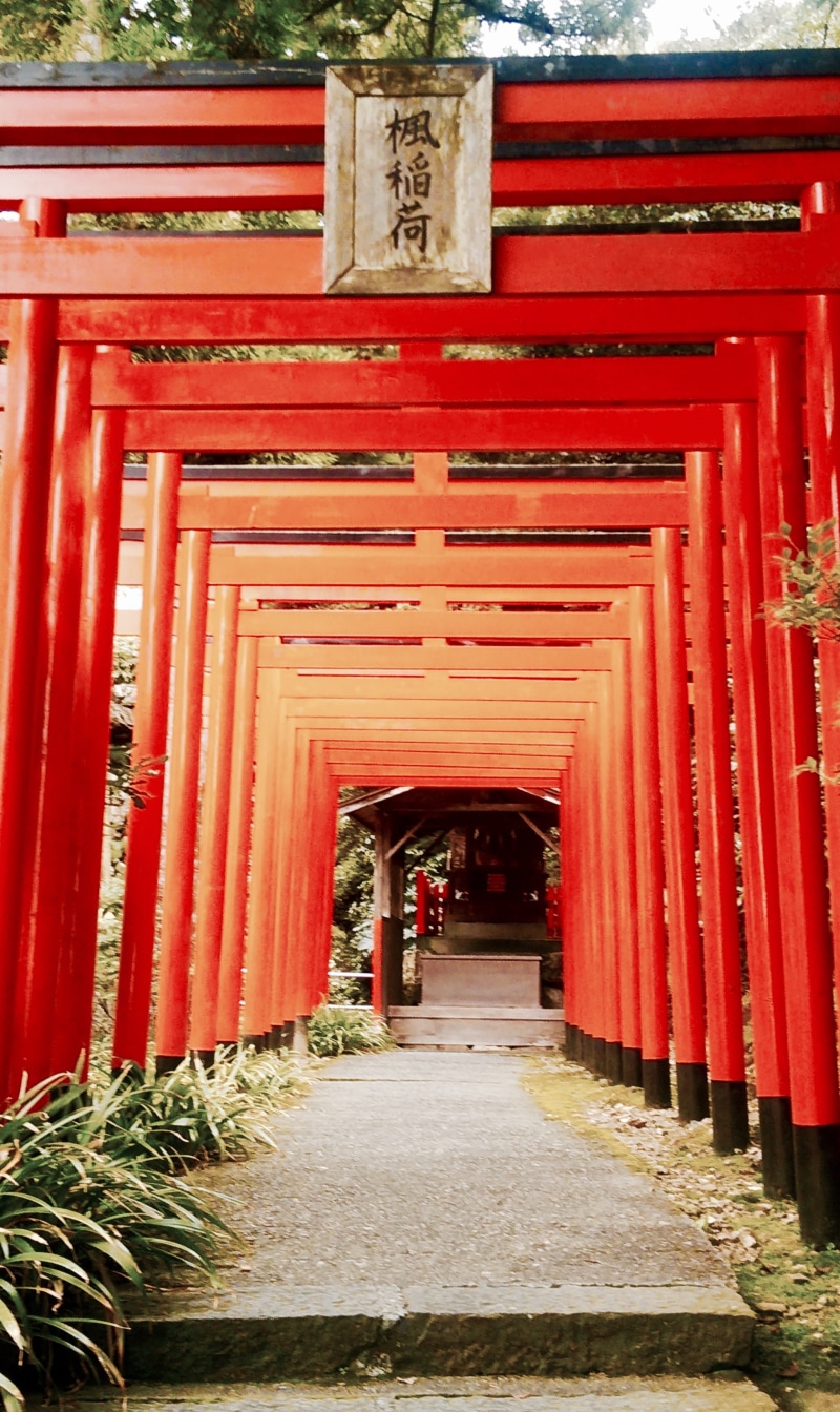 Torii, cultures, Religion, 2K, architectural column, temple - Building, the way forward, day, red, entrance, no people, diminishing perspective, east Asian Culture