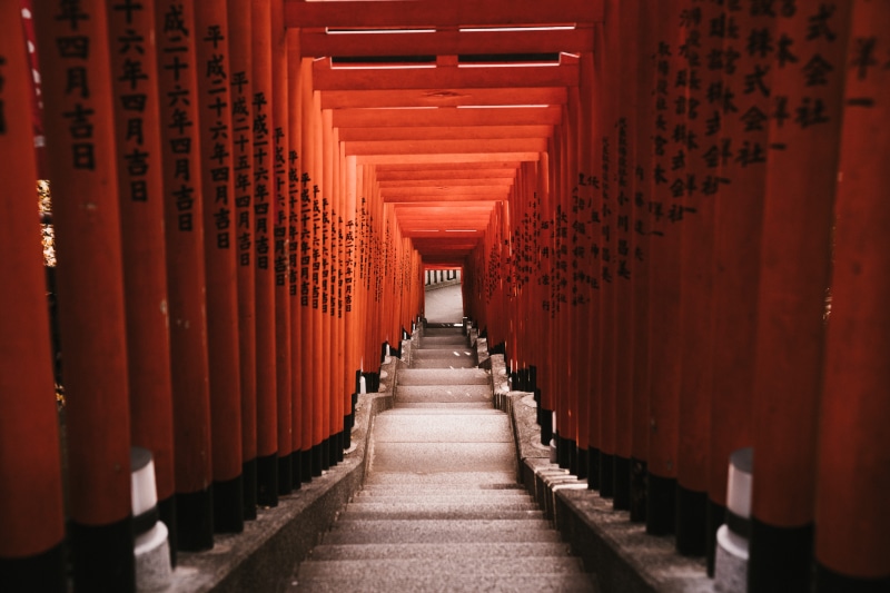 hie shrine, walkway, path, place of worship, light, torii, concrete, gate, indoors, shrine, the way forward, stairway, no people, belief, 8K, direction
