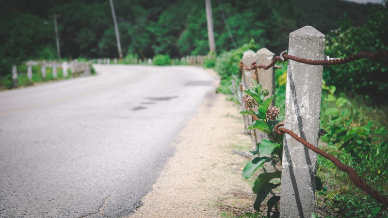 nature, direction, rusty, day, focus on foreground, flora, transportation, near, concrete, woodland, emblem, 5K, road trip, forest, perspective, footpath