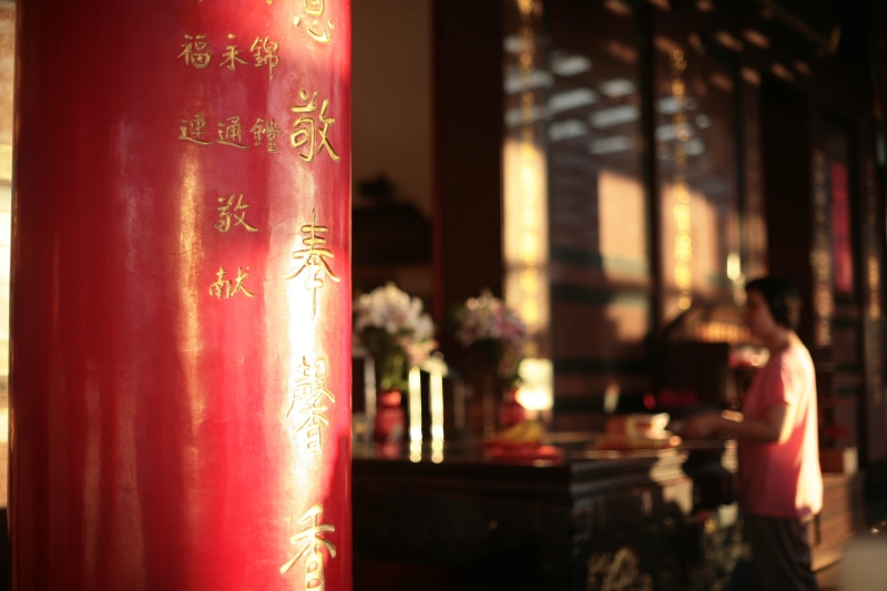 plant, 4K, interior design, red, beverage, drink, incense, banner, alcohol, architecture, text, flower, shrine, belief, pub, indoors, chinese new year