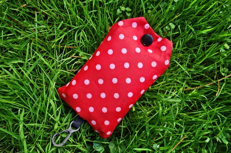 nature, spotted, polka dot, bag, shopping bag, polka dots, food, close-up, land, 4K, butterfly - insect, mushroom, folded, fungus, green color, plant