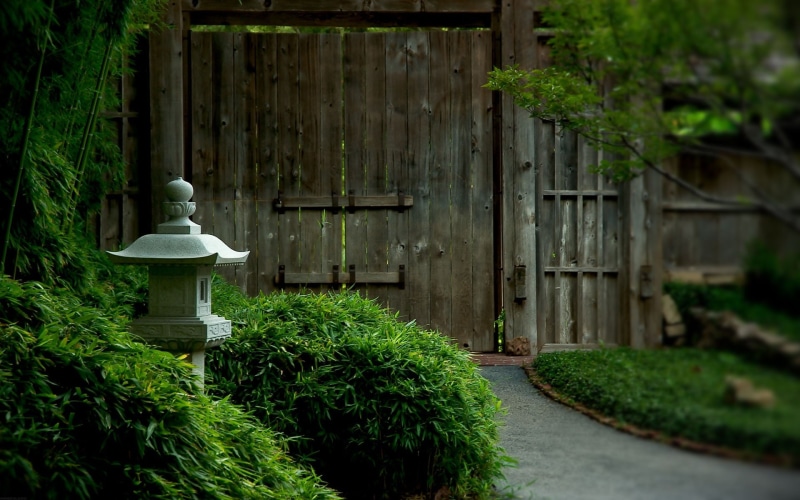 nature, Japanese Garden, wood, temple, Japan, 1080P, plants, park