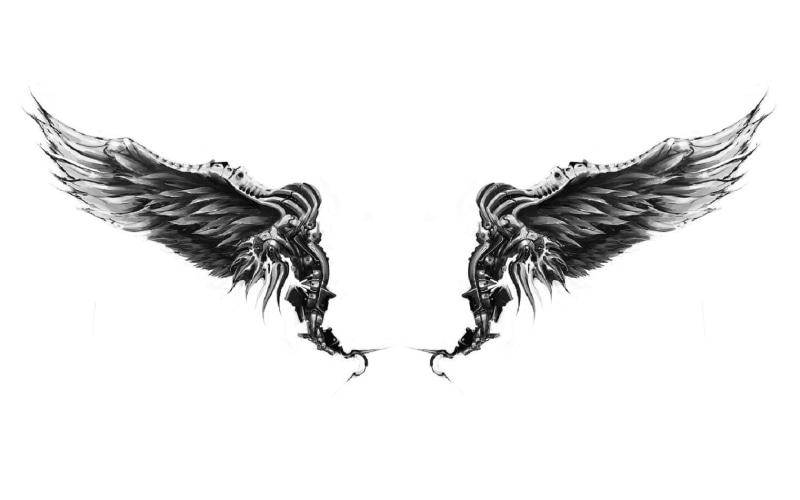 white background, no people, angels, 720P, animal wildlife, studio shot, pattern, creativity, illustration, flying, cut out, animal body part, art and craft
