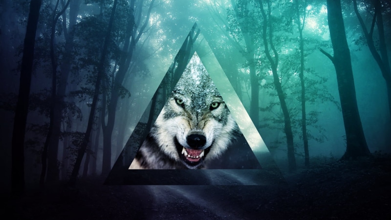1080P, illustration, snarling, anger, animal mouth, no people, grey, tree, aggression, forest, animal wildlife, animal themes, mouth open, white, woodland