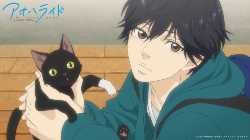 mammal, leisure activity, Ao Haru Ride, domestic, portrait, lifestyles, indoors, headshot, real people, art and craft, domestic animals, 1080P, cat, representation