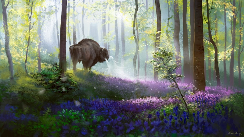 Buffalo, art, nature, Alex Shiga, 1080P, fantasy, Bisons daydream, spirit, forest