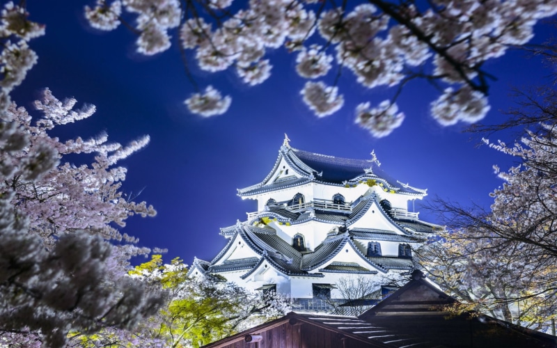 Japan, Castles, Hikone Castle, Hikone, Shiga Prefecture, Spring, 1080P