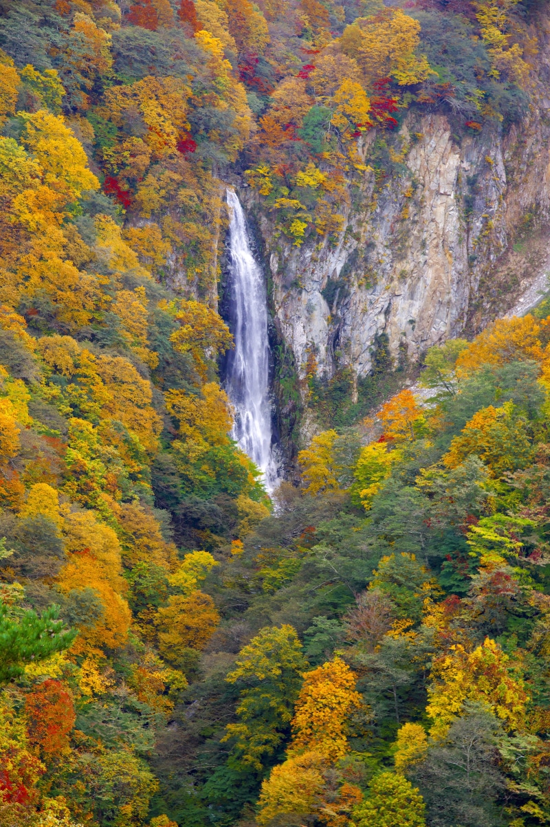 waterfall, motion, flowing water, rainbow, outdoors, no people, nature, change, power in nature, flowing, rainforest, water, autumnal leaves, environment