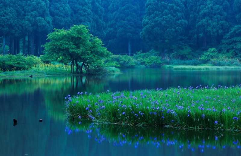 reflection lake, rural Scene, environment, nature, freshness, 2K, turquoise colored, outdoors, travel, sky, summer, standing water, grass, green Color