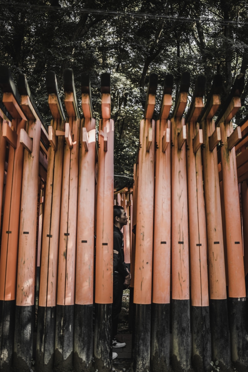 kyoto, no people, large group of objects, hanging, forest, bamboo - plant, plant, clothing, bamboo, abundance, wood - material, outdoors, roof, field, day
