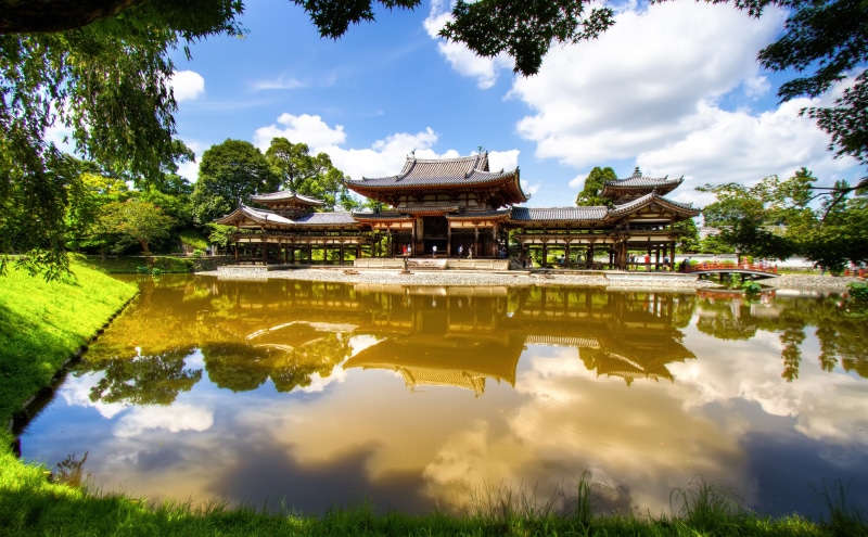 tree, Framing, Natural, Summer, Cloudy, religion, naturalframing, kyotoprefecture, reflection, Temple, spirituality, humid, waterfront, built structure