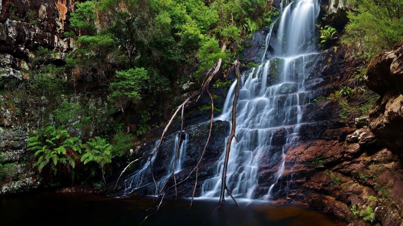 power in nature, flowing, flowing water, waterfall, long exposure, tree, blurred motion, solid, water, rock - object, falling water, nature, scenics - nature