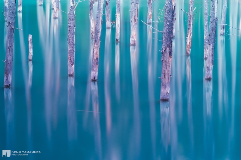 Kenji Yamamura, tranquility, reflection, no people, waterfront, trees, photographer, scenics - nature, wood - material, Japan, blue, turquoise colored