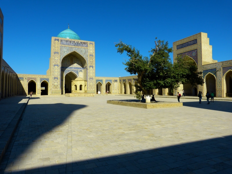 tourism, clear sky, tree, Islam, Bukhara, the past, uzbekistan, man, standing, outdoors, 4K, leafed, architecture, arch, day, incidental people, history