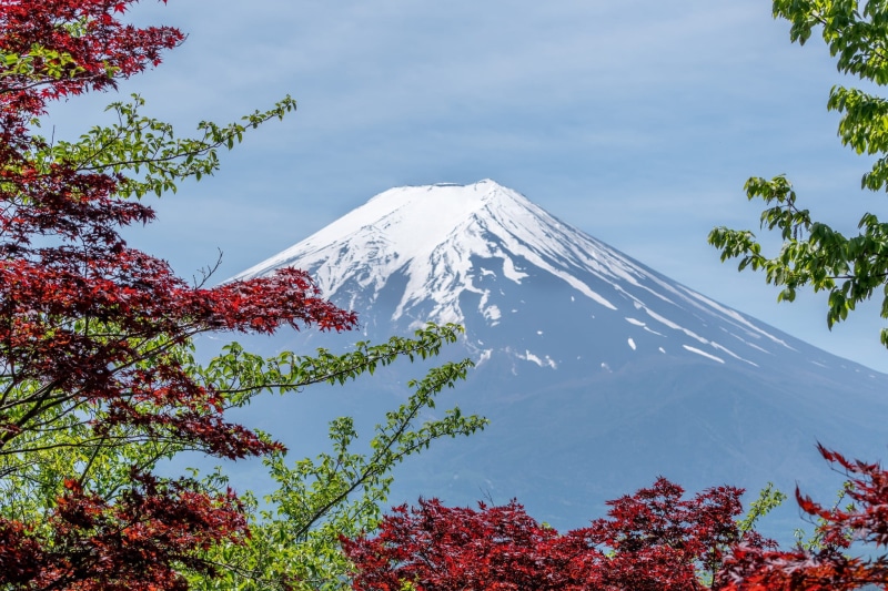 snowcapped mountain, outdoors, winter, mountain, bright, mountain peak, tranquil scene, daylight, japan, trees, season, beauty in nature, nature, mount fuji