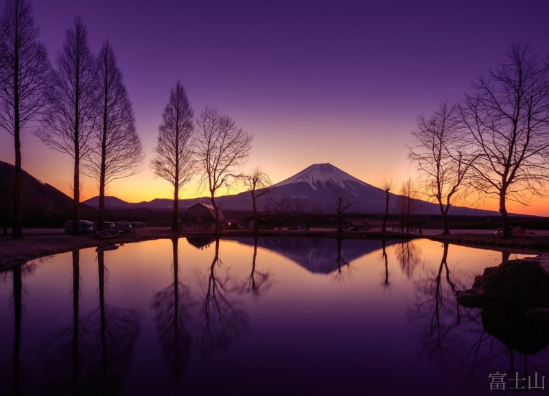 plant, tranquility, bare tree, no people, Mount Fuji, sky, purple, silhouette, landscape, reflection, sunset, scenics - nature, tranquil scene, night, mountain